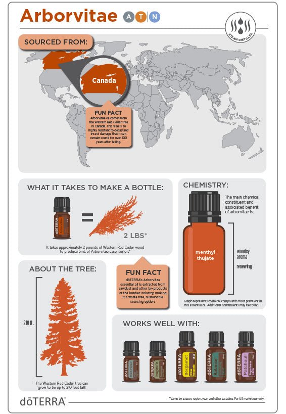 doTERRA Arborvitae Essential Oil - Samsara Oils