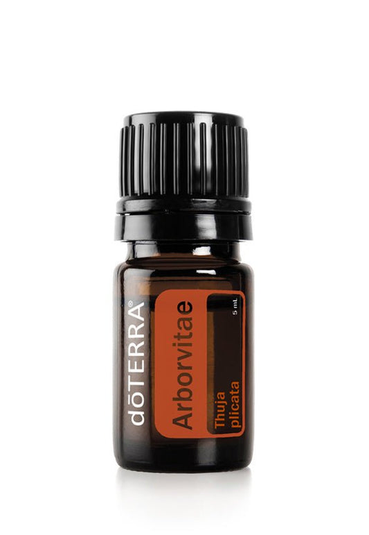 doTERRA Arborvitae Essential Oil - Samsara Oils