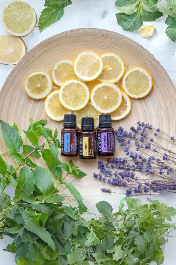 doTERRA Beginner's Trio Kit - Samsara Oils