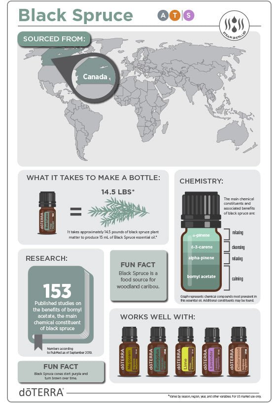 doTERRA Black Spruce Essential Oil - Samsara Oils