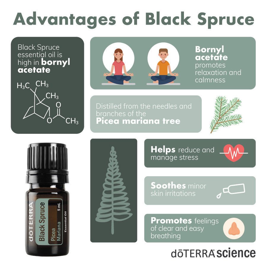 doTERRA Black Spruce Essential Oil - Samsara Oils