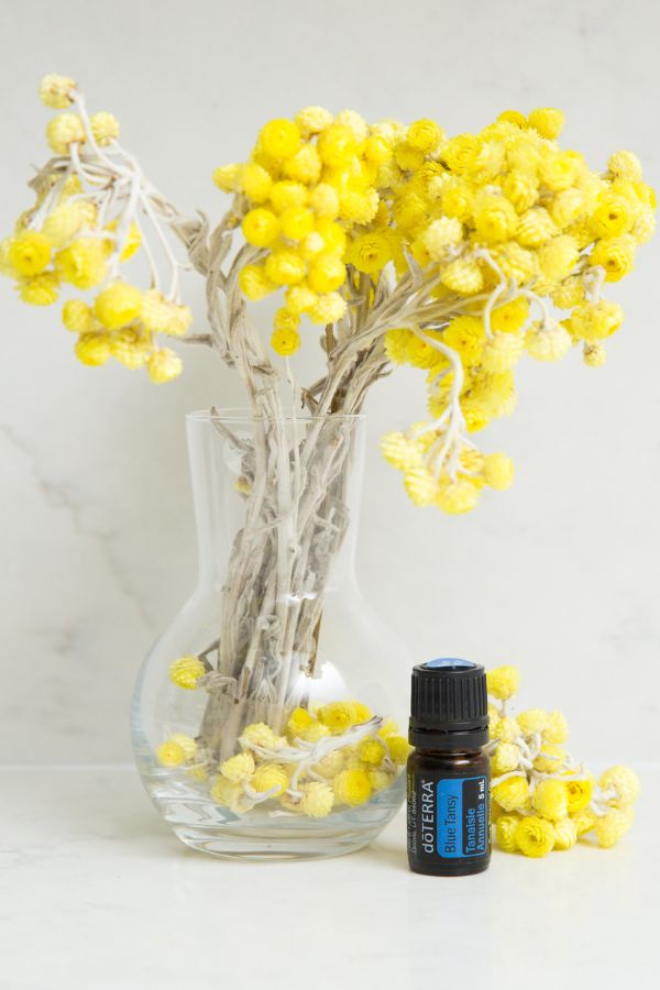 doTERRA Blue Tansy Essential Oil - Samsara Oils