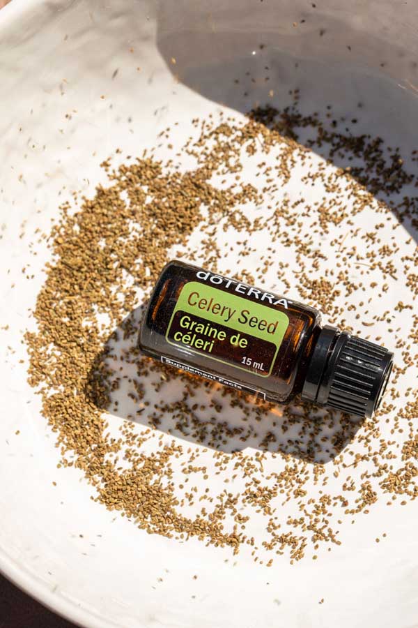 doTERRA Celery Seed Essential Oil - Samsara Oils