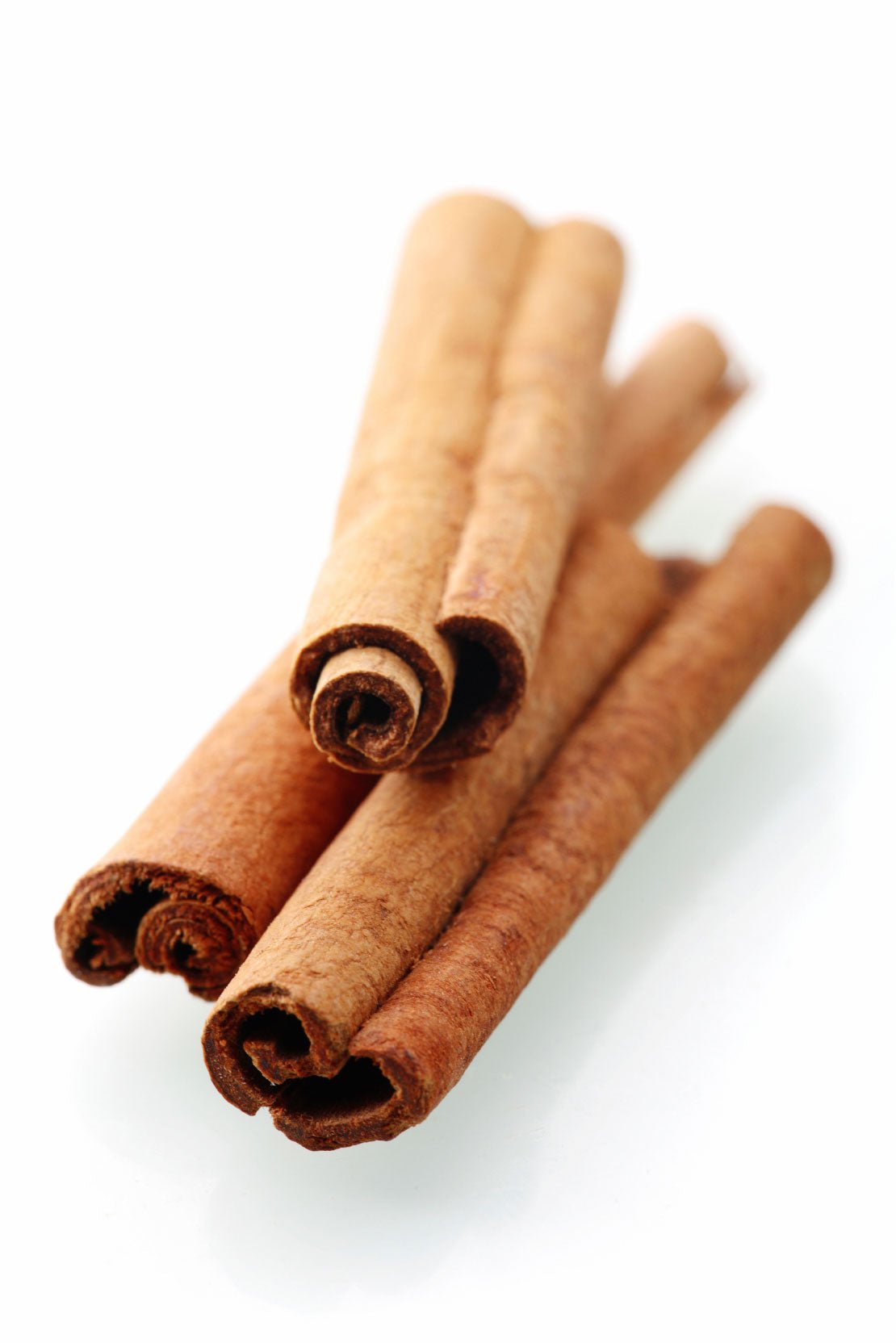 doTERRA Cinnamon Bark Essential Oil - Samsara Oils