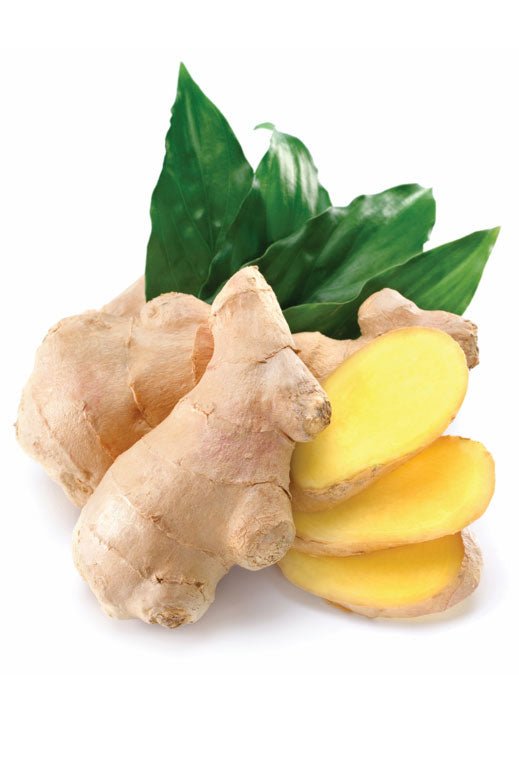 doTERRA Ginger Essential Oil - Samsara Oils