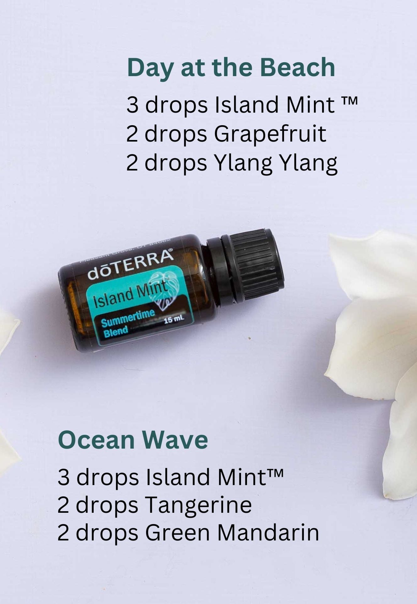 doTERRA Island Mint Blend - Samsara Oils