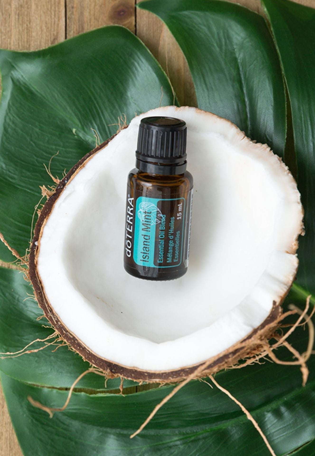 doTERRA Island Mint Blend - Samsara Oils