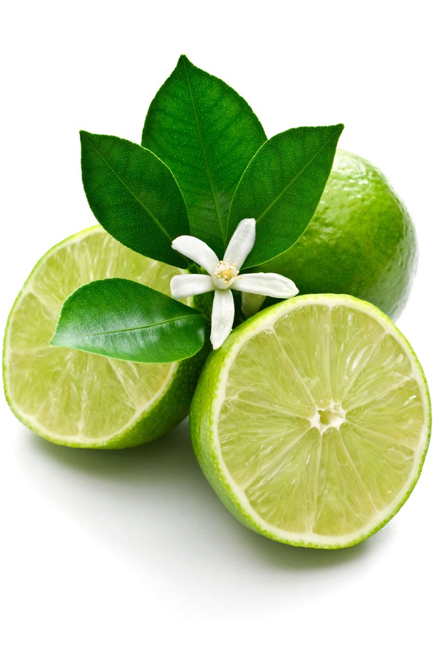 doTERRA Lime Essential Oil - Samsara Oils