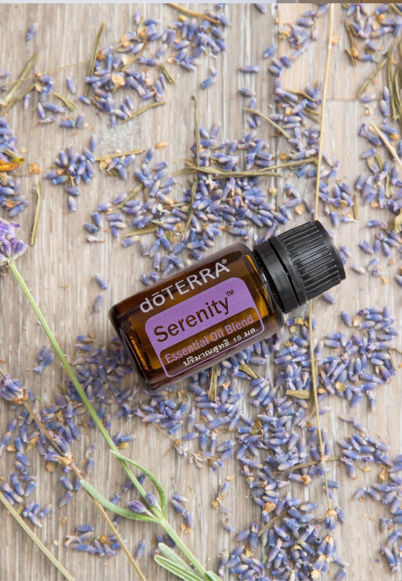 doTERRA Serenity Restful Blend - Samsara Oils