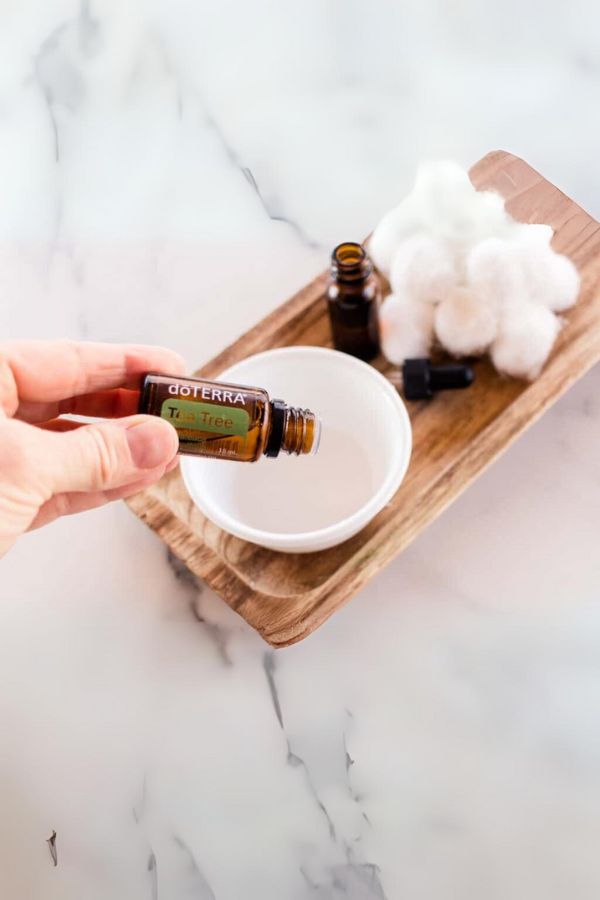 doTERRA Tea Tree (Melaleuca) Essential Oil - Samsara Oils