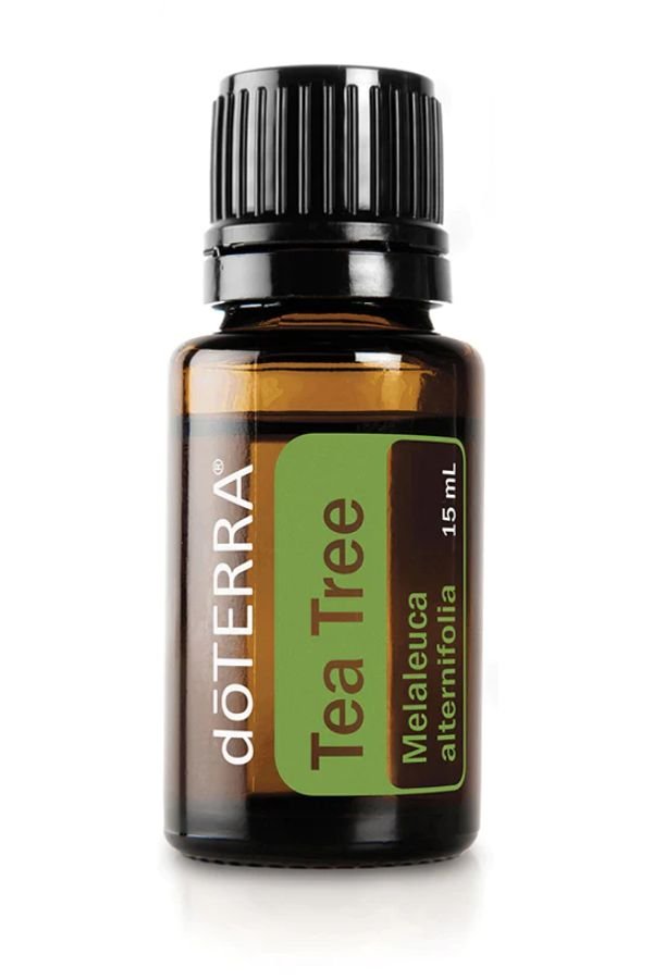 doTERRA Tea Tree (Melaleuca) Essential Oil - Samsara Oils