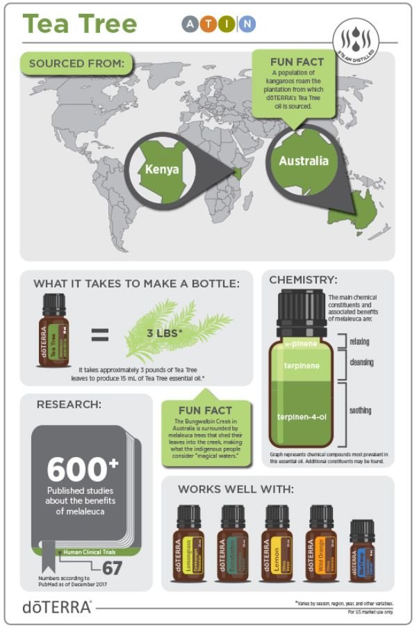 doTERRA Tea Tree (Melaleuca) Essential Oil - Samsara Oils