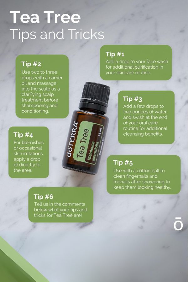 doTERRA Tea Tree (Melaleuca) Essential Oil - Samsara Oils