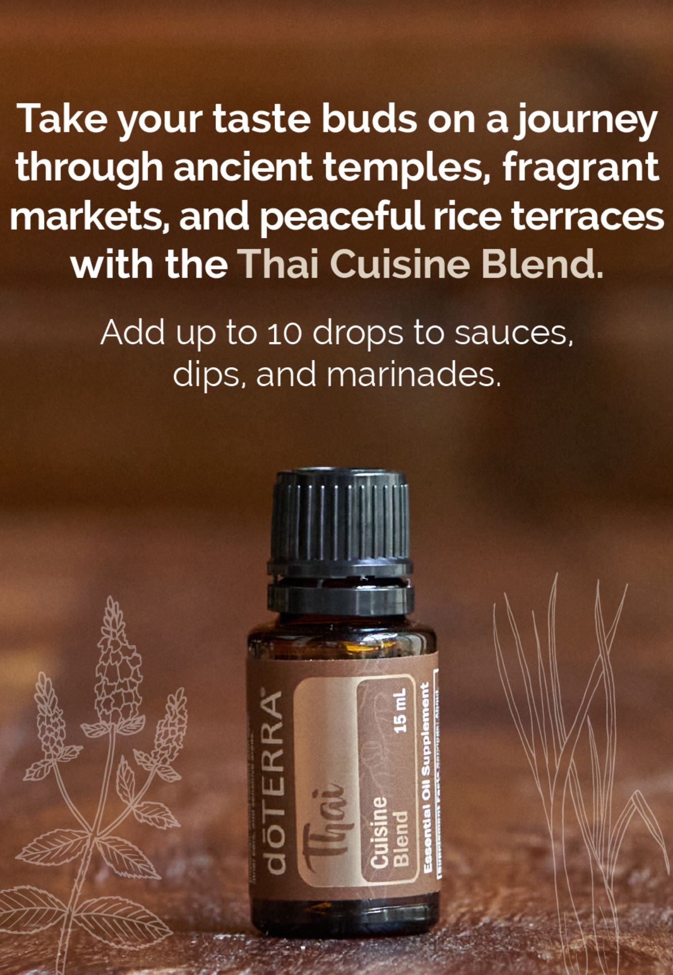 doTERRA Thai Cuisine Blend - Samsara Oils