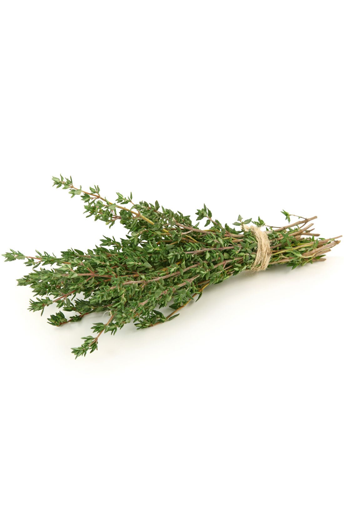 doTERRA Thyme Essential Oil - Samsara Oils