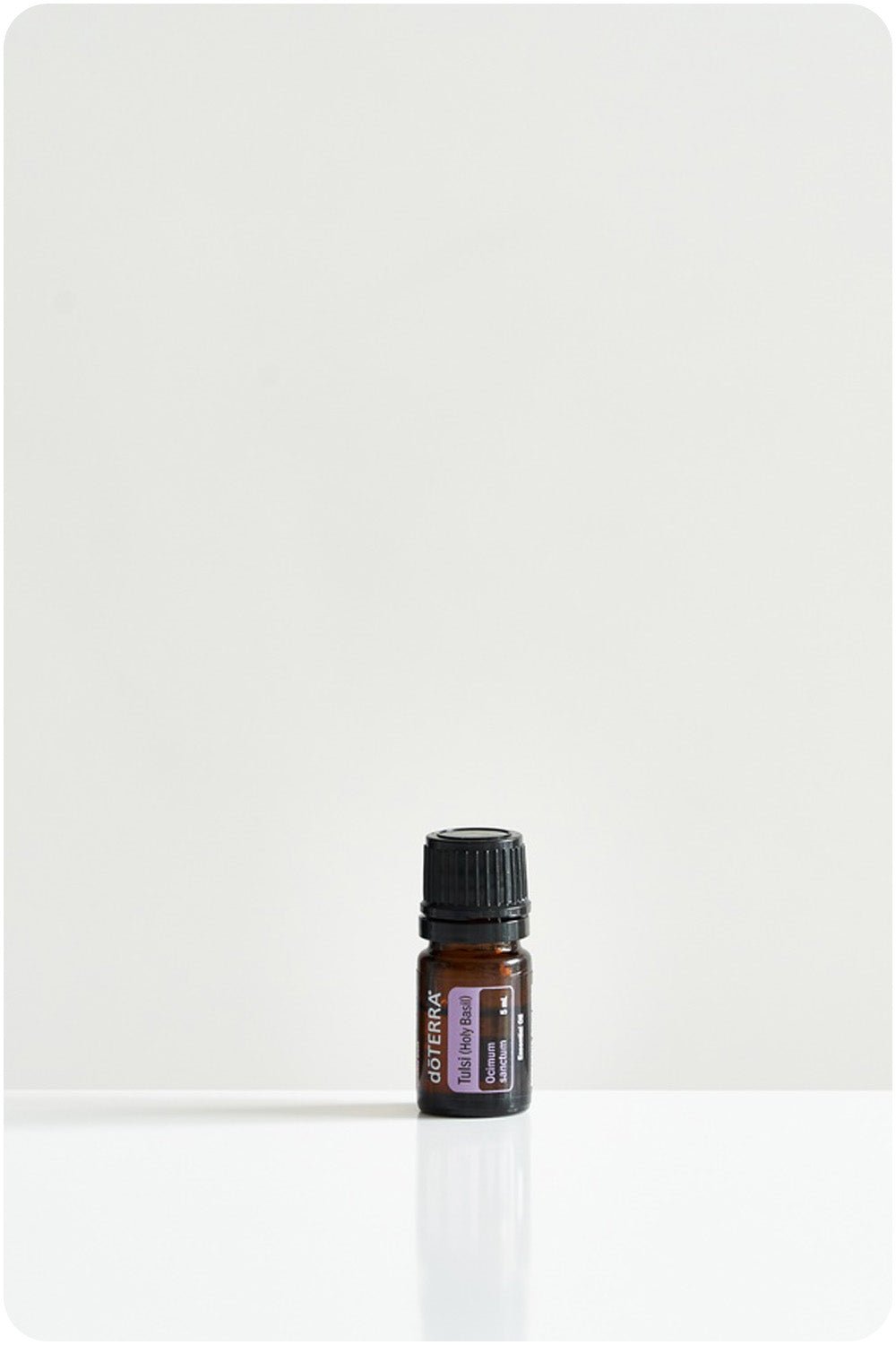 doTERRA Tulsi (Holy Basil) Essential Oil - Samsara Oils